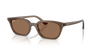 Transparent Brown W/ Dark Brown