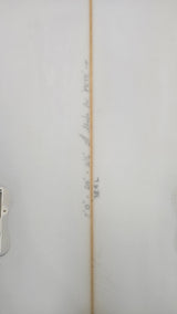 3373 - Beachin Surf