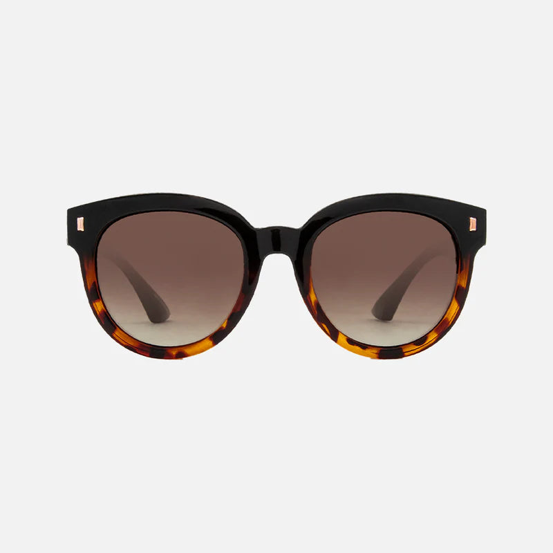 Harpo - Gloss Black Tort Brown Gradient Polarised