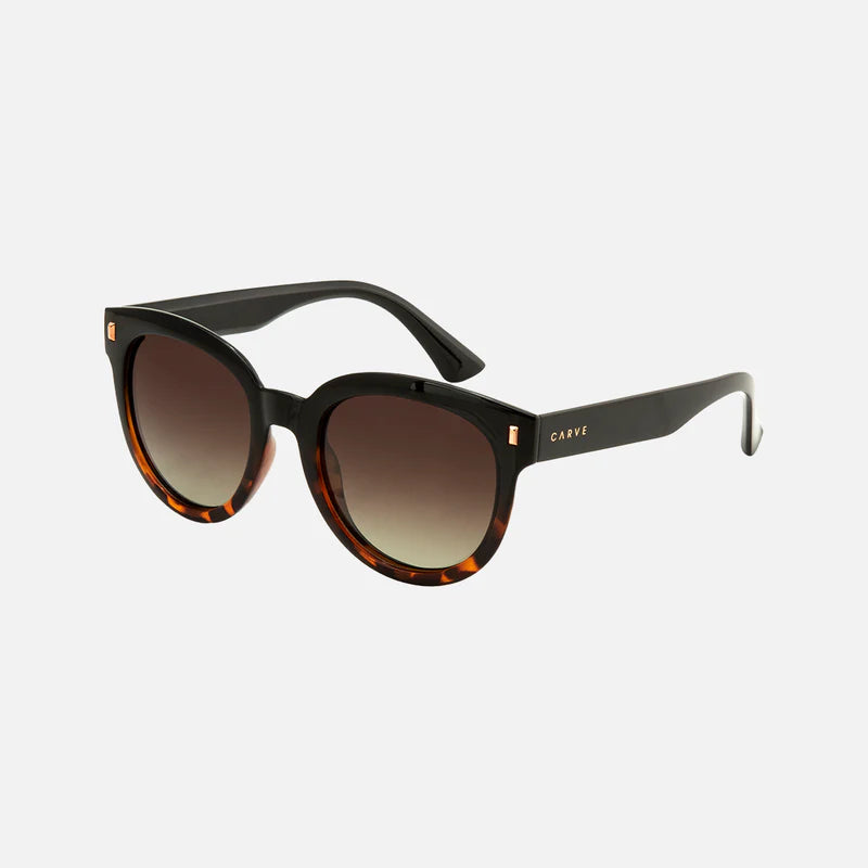 Harpo - Gloss Black Tort Brown Gradient Polarised