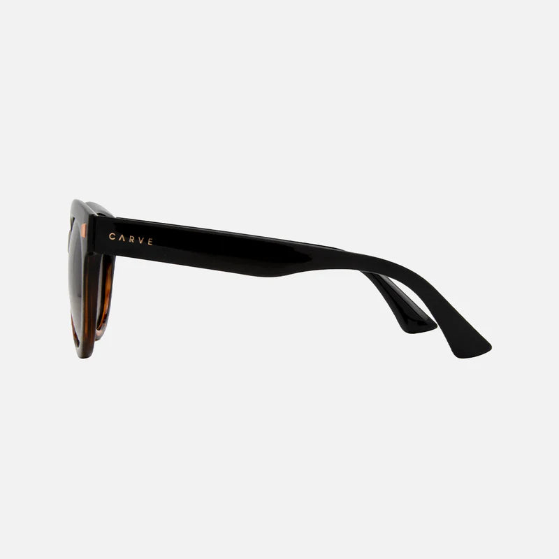 Harpo - Gloss Black Tort Brown Gradient Polarised