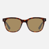 Homeland - Gloss Tort Frame Brown Polarized Lens