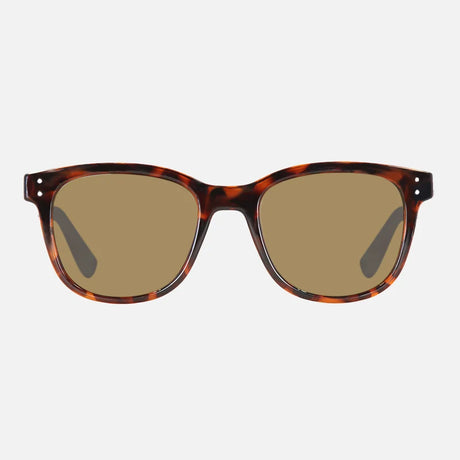 Homeland - Gloss Tort Frame Brown Polarized Lens