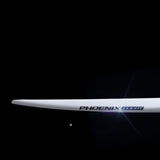 Phoenix Flight