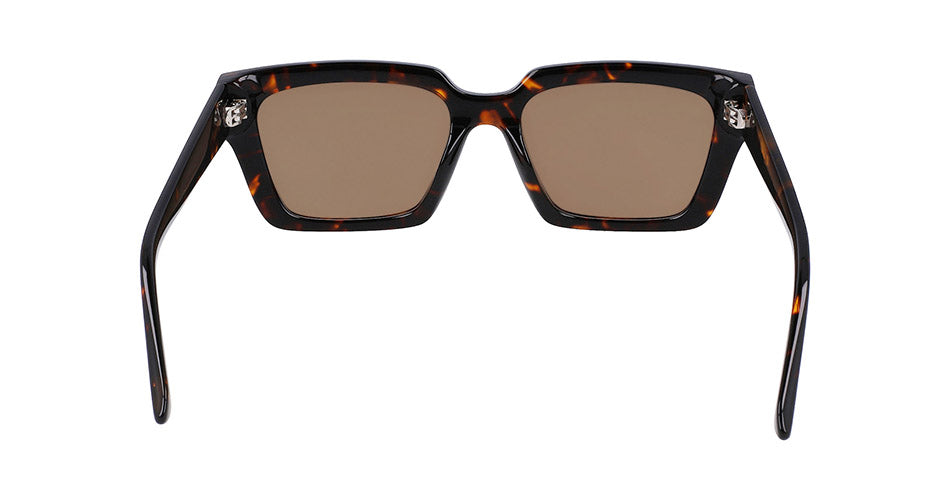 Dr Tarran Tortoise / Ll Brown