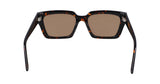 Dr Tarran Tortoise / Ll Brown