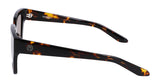 Dr Tarran Tortoise / Ll Brown