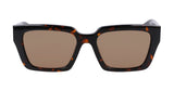 Dr Tarran Tortoise / Ll Brown