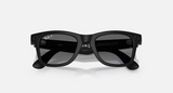 RAY-BAN META (GEN 2) WAYFARER