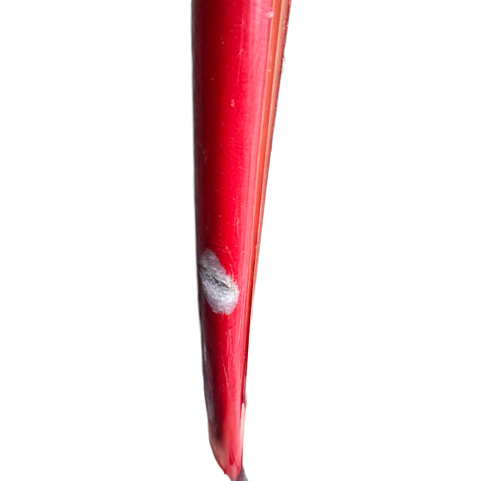 Freeglide 9'1 (Used)