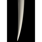 Singularity - Diamond Tail - Carbon