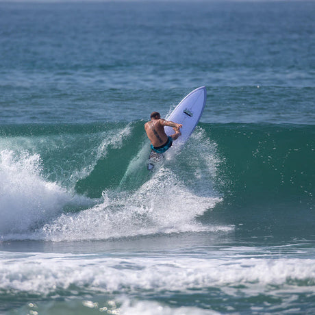 Big Boy Sting - Fusion HD - Beachin Surf
