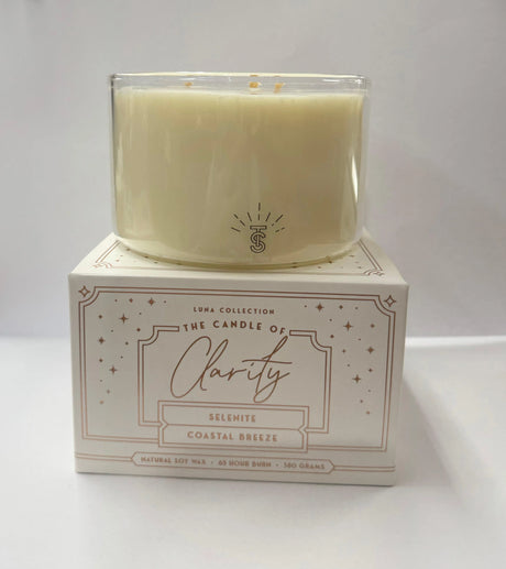 Clarity | Coastal Breeze - Beachin Surf