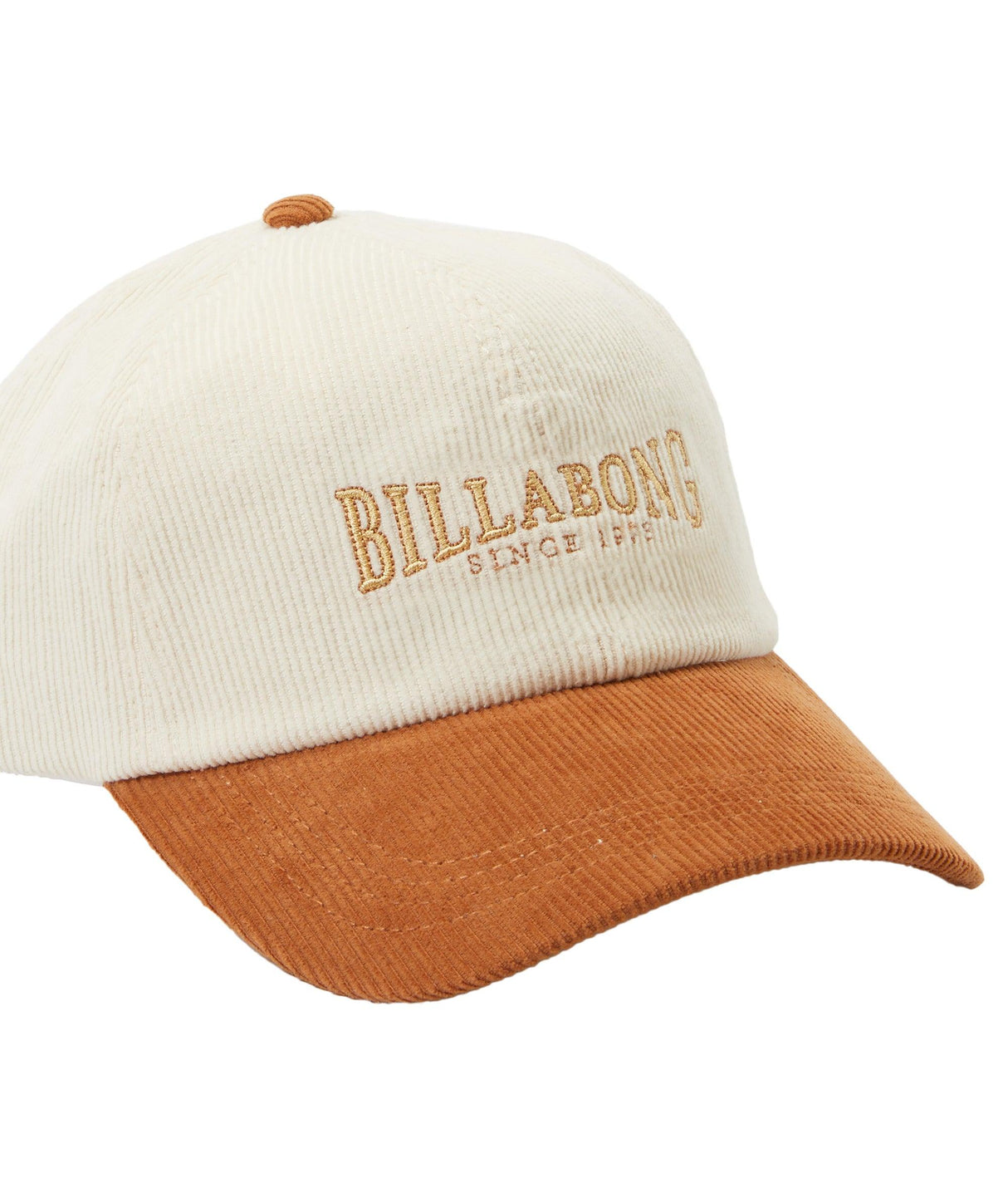 Dad Cap - Beachin Surf