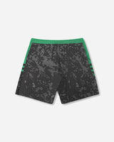 Disclosure 20" Decorative Trunk