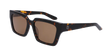 Dr Tarran Tortoise / Ll Brown - Beachin Surf