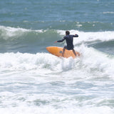 Dream Fish - Beachin Surf