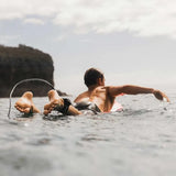 Fcs X Sharkbanz Pod - Surf Shark Deterrent - Beachin Surf