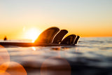 glasert_20260112_FW_machacadoXTRA_0411 - Beachin Surf