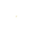 gold-seashell-ring - Beachin Surf