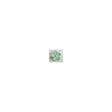 green-daisy-clip - Beachin Surf