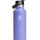 Hydro Flask 21oz Flex Straw Cap Bottle - Lupine - Beachin Surf