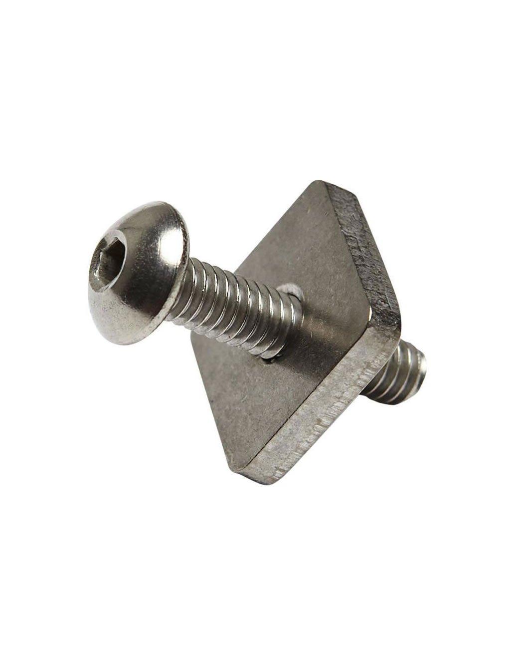 Longboard Hex Screw & Plate - Beachin Surf