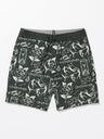 MEDLEY STONEY 19" BOARDSHORT - Beachin Surf