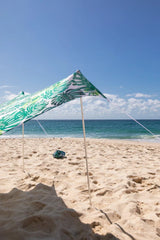Ozoola - Palmy Beach Tent - Beachin Surf