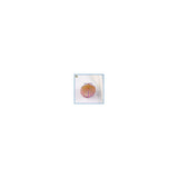 PINK AND GOLD SHELL HAIRCLIP