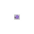 purple-daisy-clip - Beachin Surf