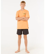 Raw Energy Dolphin Tee - Boy - Beachin Surf