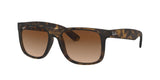 Ray-Ban Justin - Beachin Surf