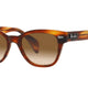 Rb - 0880S - Beachin Surf