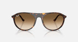 RB2215 - Havana/Clear Gradient Brown - Beachin Surf