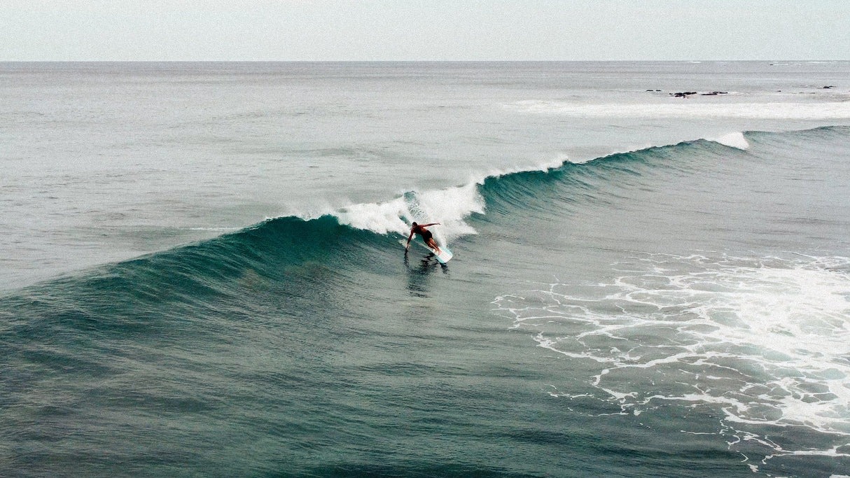 Renaissance - Beachin Surf