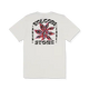 Stone Spectacle SST - Beachin Surf