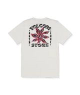 Stone Spectacle SST - Beachin Surf