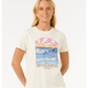 Stringers Standard Tee - Beachin Surf