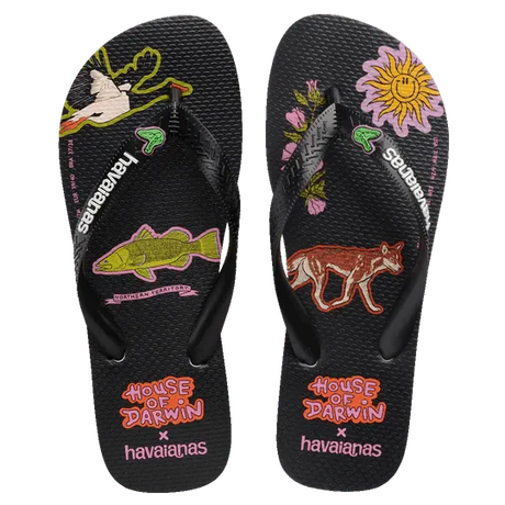 Top House Of Darwin Black - Beachin Surf