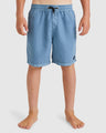Billabong Boys 8-16 All Day Overdye Layback Boardshorts 16" - Steel Blue