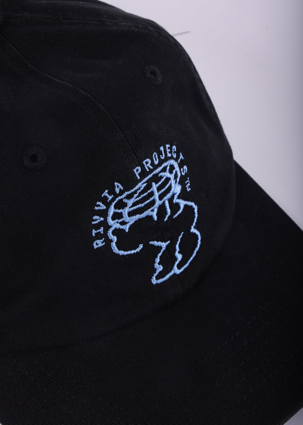 Weight Of The World Cap