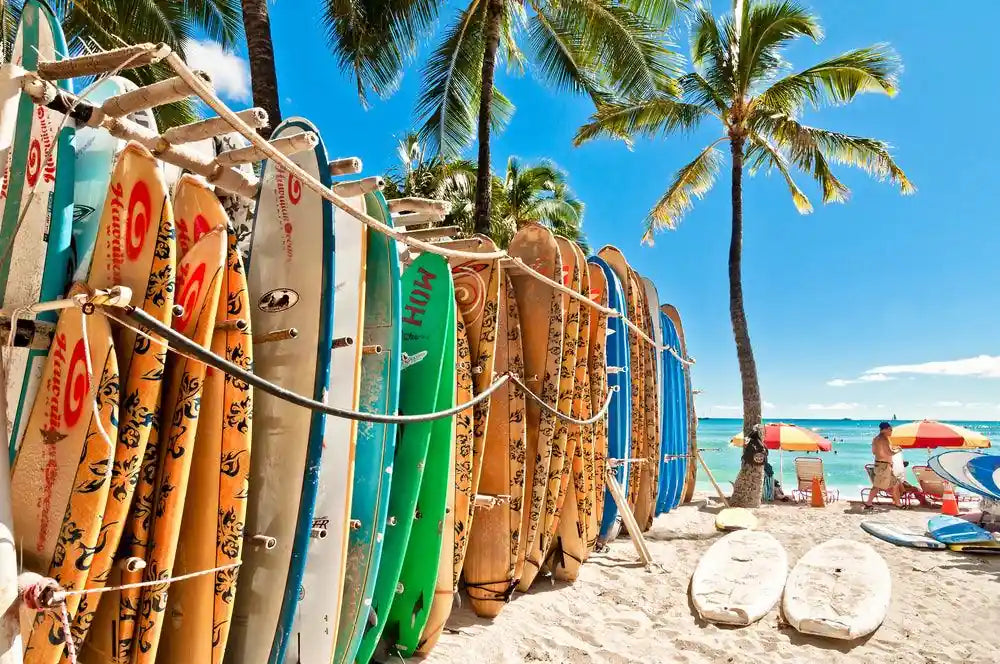 Surfboards racked up on the beach