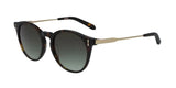 hype-tortoise-w-lumalens-gradient-g15-beachin-surf-49243 - Beachin Surf