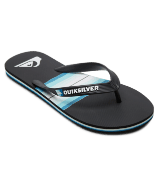 MOLOKAI RESIN TINT | QUIKSILVER | Beachin Surf