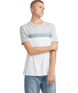 SHELTER PANEL TEE | QUIKSILVER | Beachin Surf